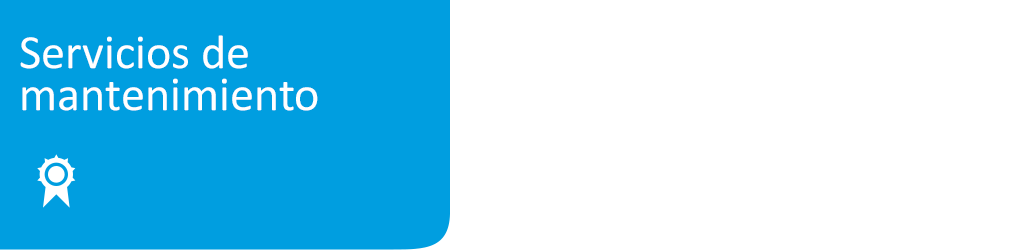SIGEPlus ERP - Servicios de mantenimiento