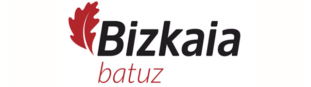 ERP - Batuz - Hacienda foral de Bizkaia