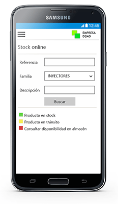 SIGEPlus ERP - Tienda Online opciones de consulta