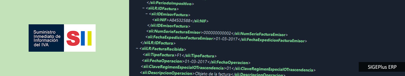 ERP - SII